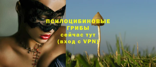 трава Козловка
