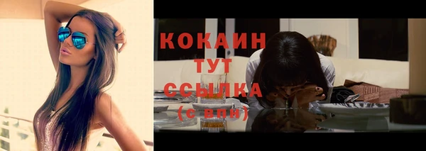 хмурый Кодинск