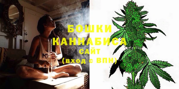 хмурый Кодинск